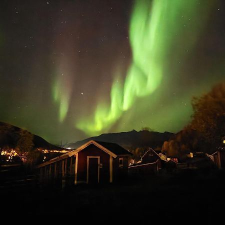 Koselig Dyregard I Tromso Hotel Exterior foto