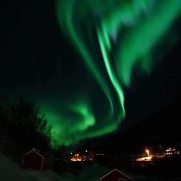 Koselig Dyregard I Tromso Hotel Exterior foto