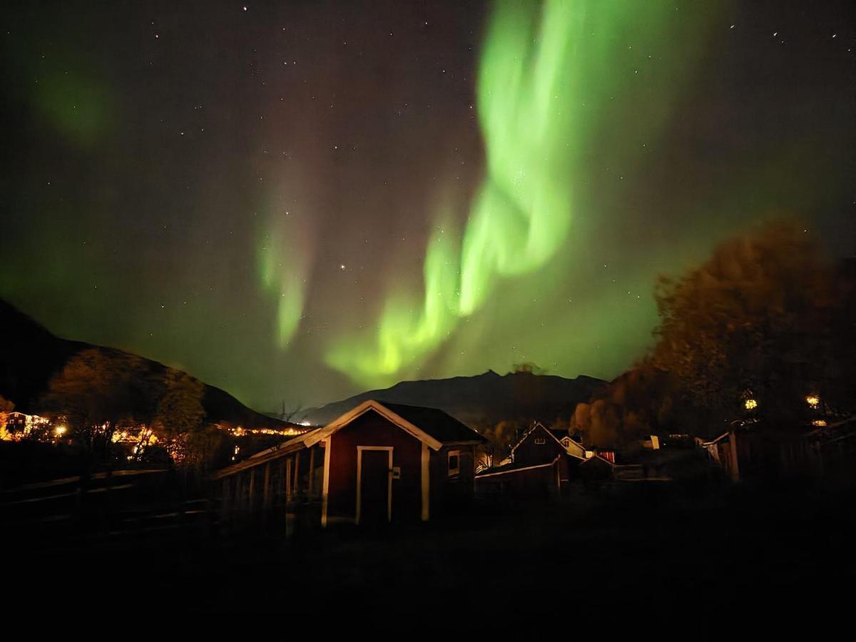 Koselig Dyregard I Tromso Hotel Exterior foto